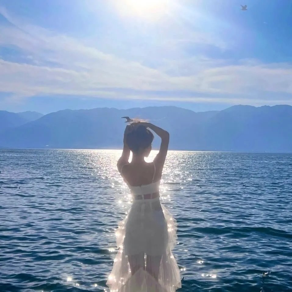玫瑰海报