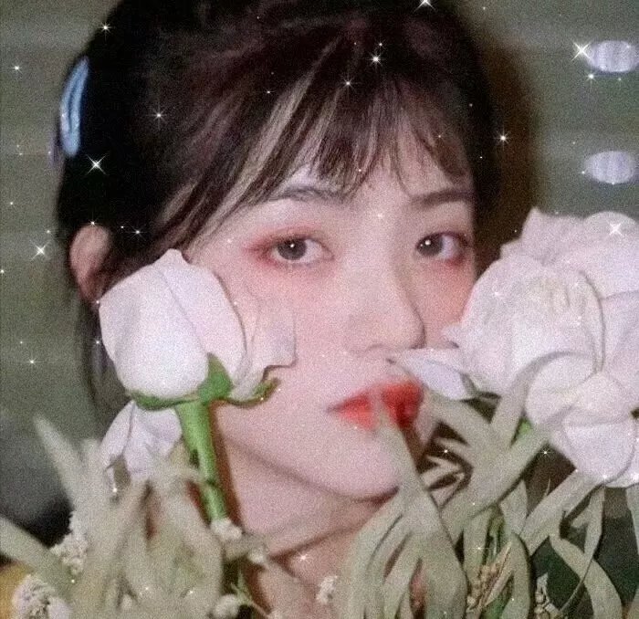 万物生灵海报